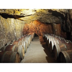 Caves domaine des ouches