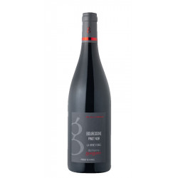 Domaine Gueguen - Pinot...