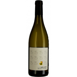 Domaine ROCHE - Le Vilain...
